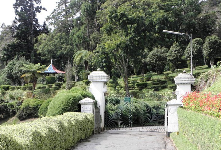 Hakgala Botanical Gardens Nuwara Eliya
